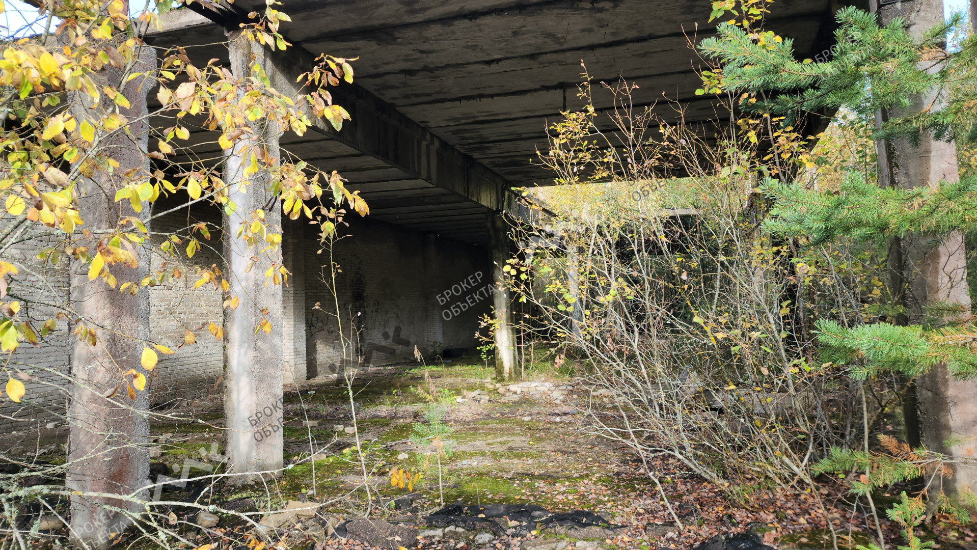 Фото объекта