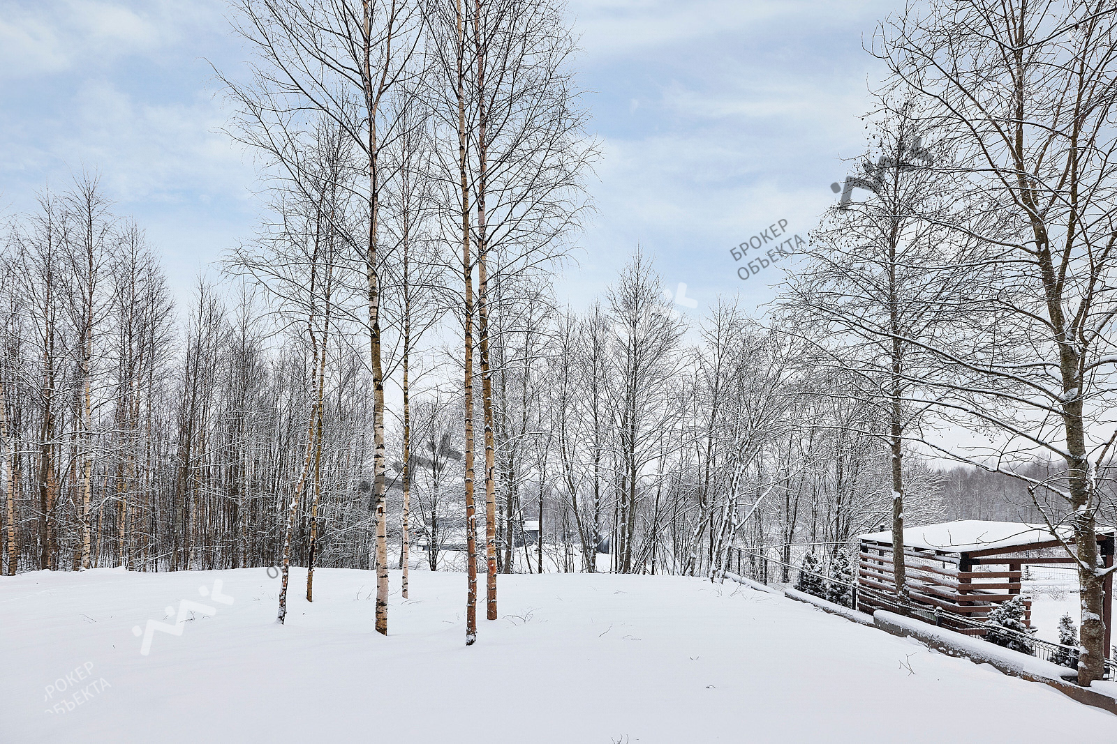 Фото объекта