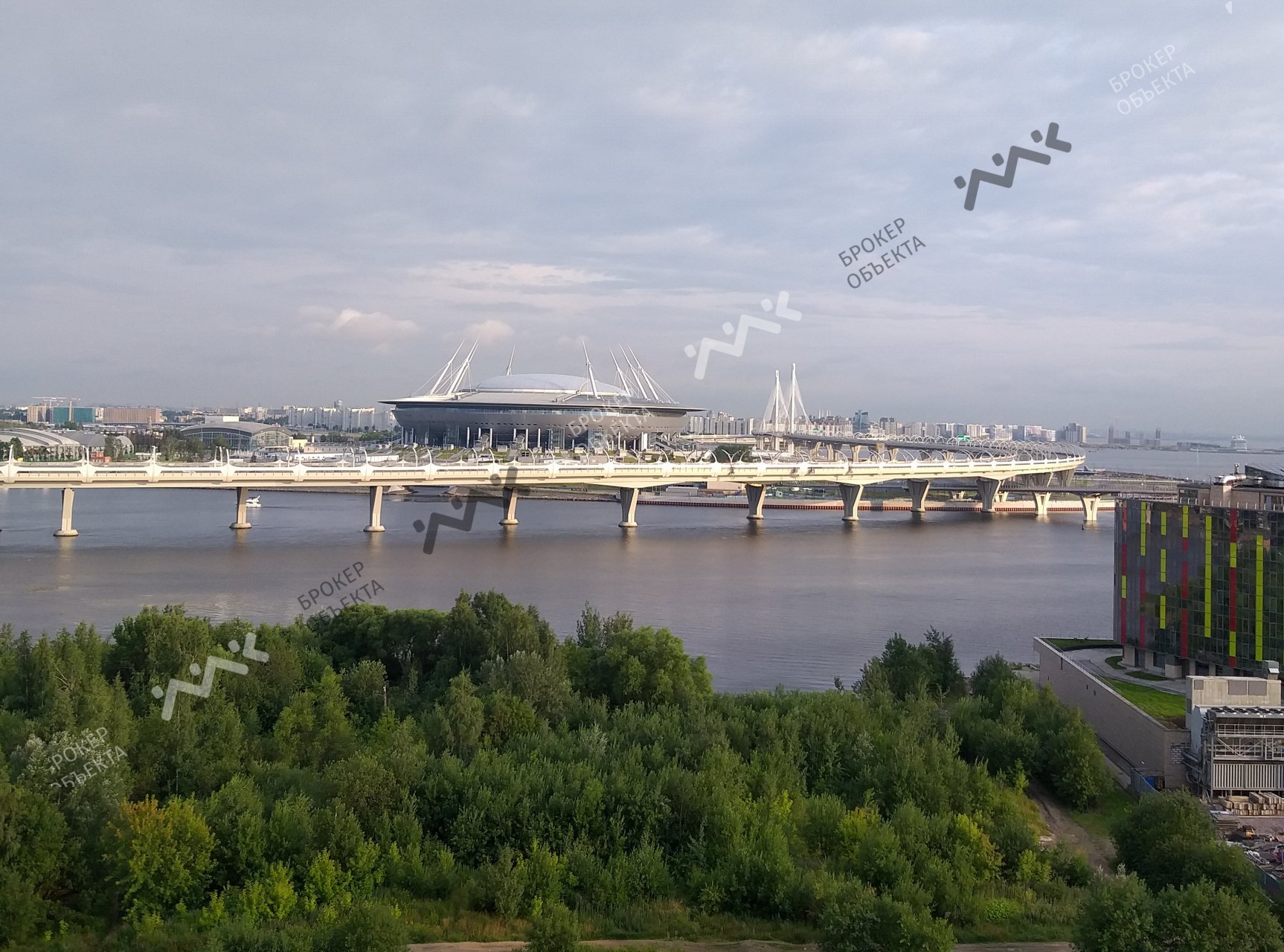 3 комн. кв. 103 m2 13/17 этаж Приморский проспект, д.137, к.1 Купить по  цене 17499000 ₽